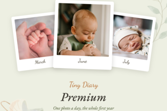 Tiny Diary (Babydagboken in Norwegian)