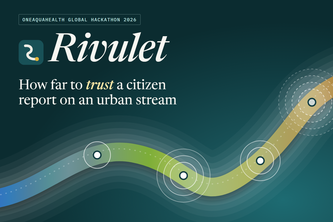 Rivulet 