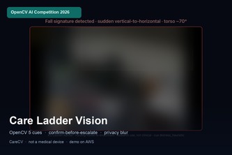 Care Ladder Vision