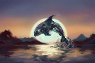 Orca