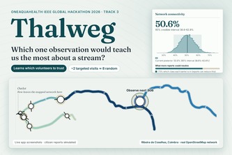 Thalweg: Make Every River Observation Count