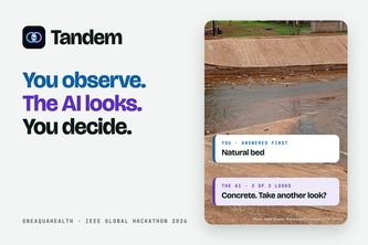 Tandem: You observe, the AI looks, you decide