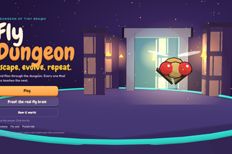 Fly Dungeon
