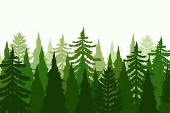 Ecoforest
