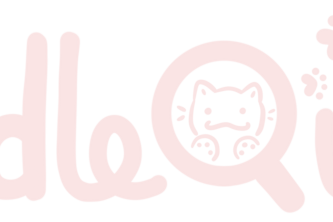 DoodleQuest