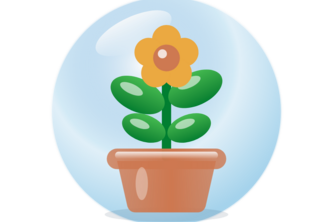 Rehabloom