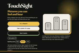 TouchSight