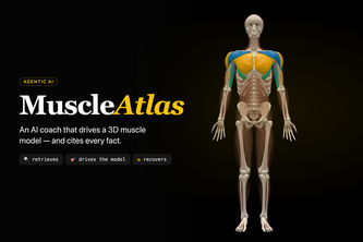 MuscleAtlas