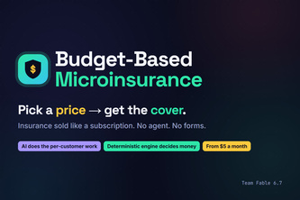 Budget-Based Microinsurance