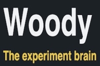 Woody, Experiment Brain