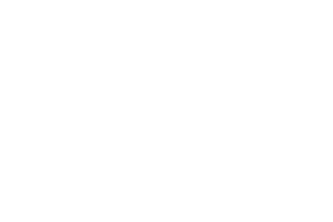 AIMLite