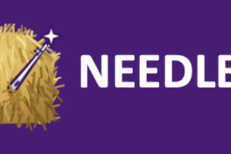 Needle in the Haystack
