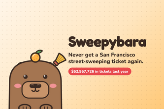 Sweepybara