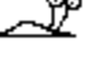 WeBop