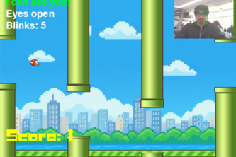 Flappy Face
