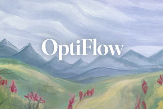 OptiFlow