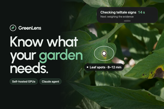 GreenLens