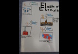 Election of the U.S. President