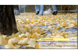 GmailTicker