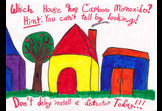 Which house has carbon monoxide?