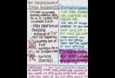 The dangers of Carbon Monoxide and Solutions by Ariana C.McKenzie