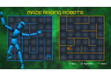 Maze Racing Robots