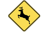 Moving Object and Obstruction Detection	