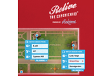 Veokami for Lollapalooza