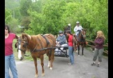 Camp K Horses for Heroes Trailride and Salute