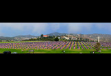 Pepperdine University Step Forward Day