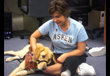 Canines For Veterans - Canines for Service