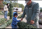 Trees for Troops