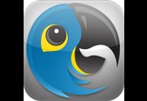 Macaw