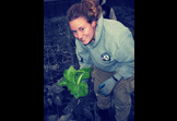 Community Garden
