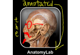 AnnotatedAnatomyLab