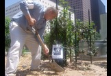 Planting green for the future.