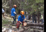 Environmental Stewardship - AmeriCorps VISTA: Preserving our Environment through Service