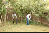 Olympia's AmeriCorps Works!