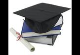Total Students 