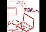 Napier Interactive 