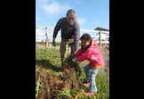 Creating Environmental Stewards