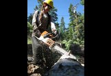Sawing wood