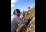 Beach Grass Planting 