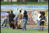 Community Service: Graffiti Removal Project