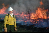 Controlled Burn