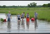 Down in the Bayou!