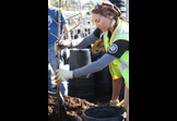 An Our City Forest AmeriCorps member potting a bare root tree.