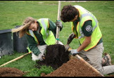  Planting in the Wind