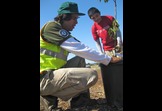 tree care