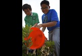 “Canyon Dig It?” Preserving Natural Habitats  